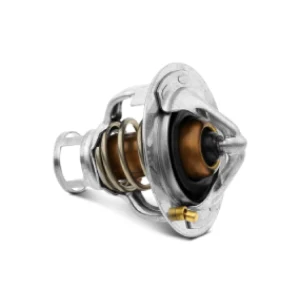 ترموستات و فشنگی